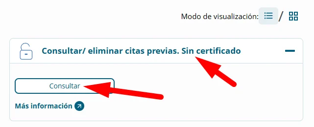 Consultar citas en Seguridad Social